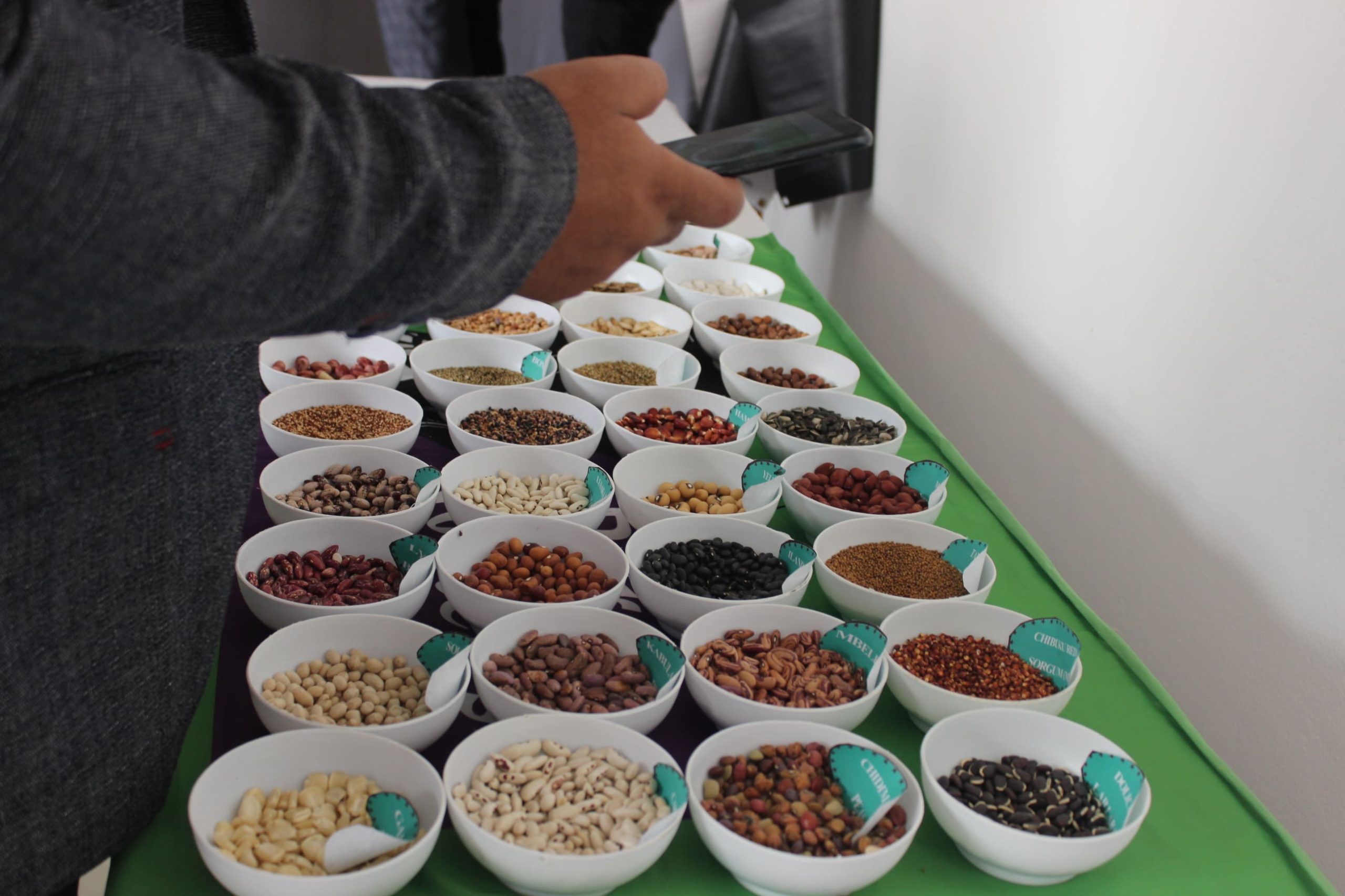 Photos Foire COASP Bénin Mars 2023