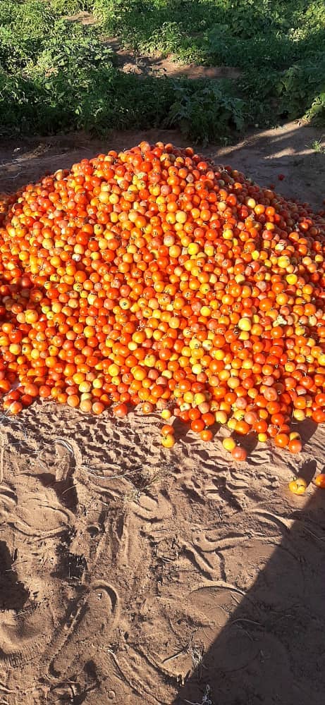 Photos Foire COASP Bénin Mars 2023