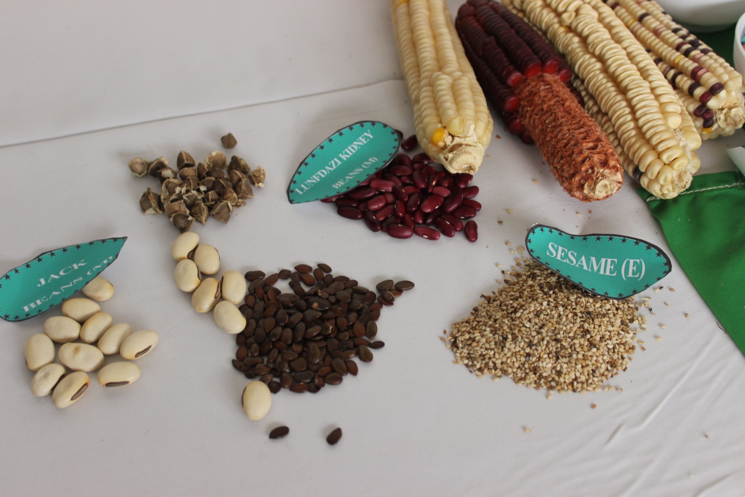 Photos Foire COASP Bénin Mars 2023