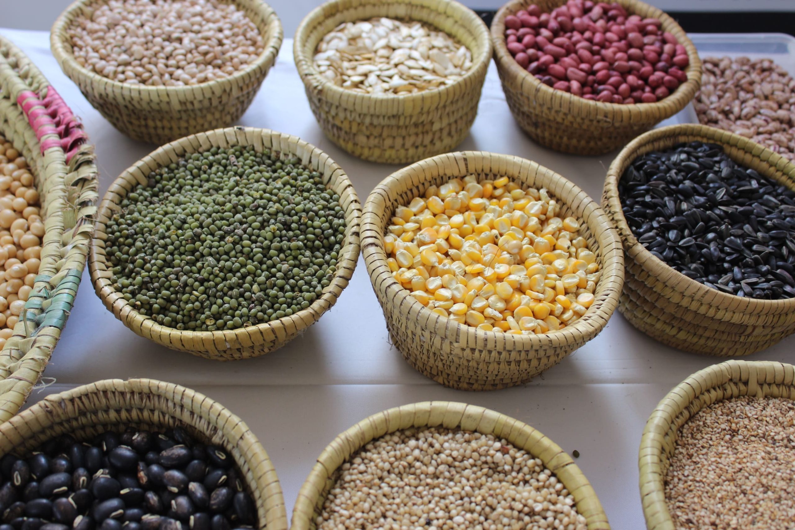 Photos Foire COASP Bénin Mars 2023