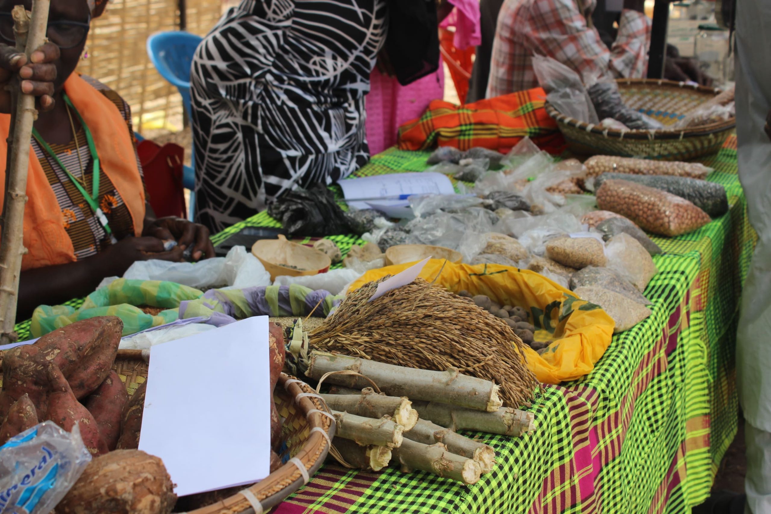 Photos Foire COASP Bénin Mars 2023