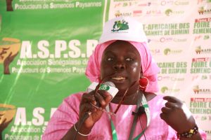 Photos Foire COASP Djimini 2022