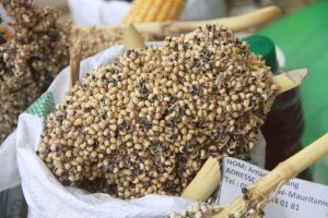 Photos Foire COASP Djimini 2022