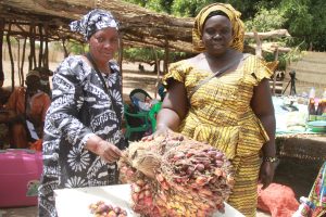 Photos Foire COASP Djimini 2022